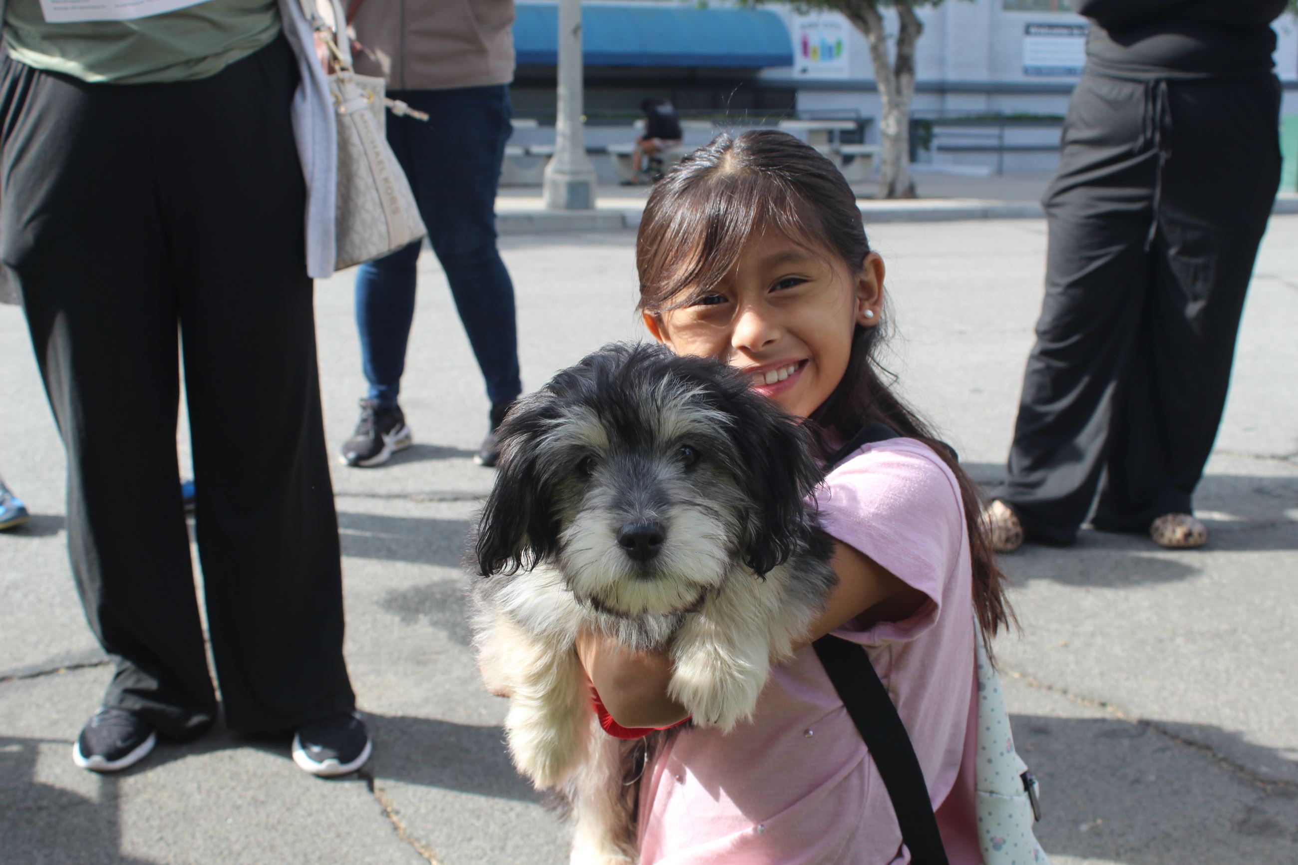 PAWS at Fleming 2025 (95)