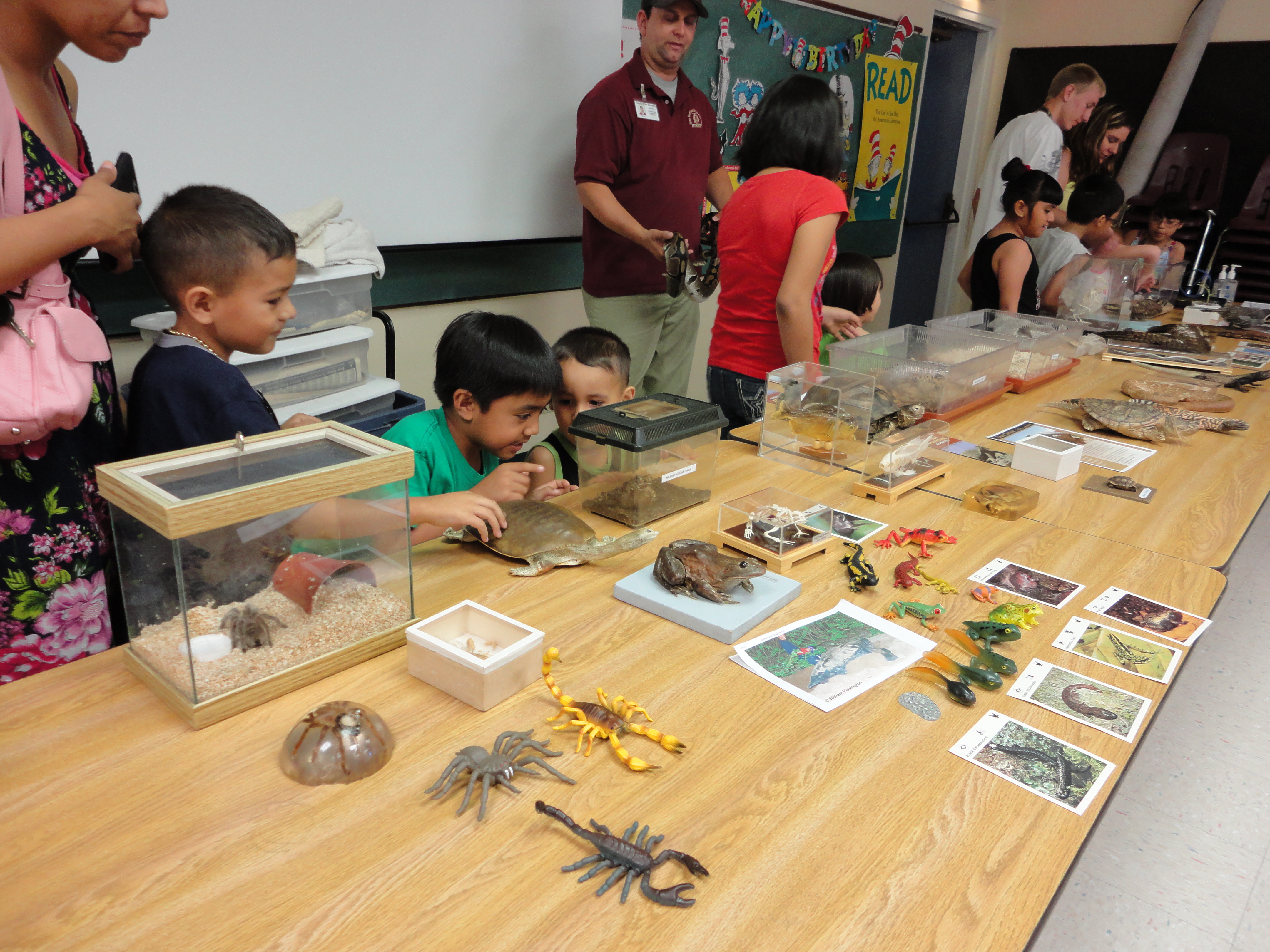 children looking at animals