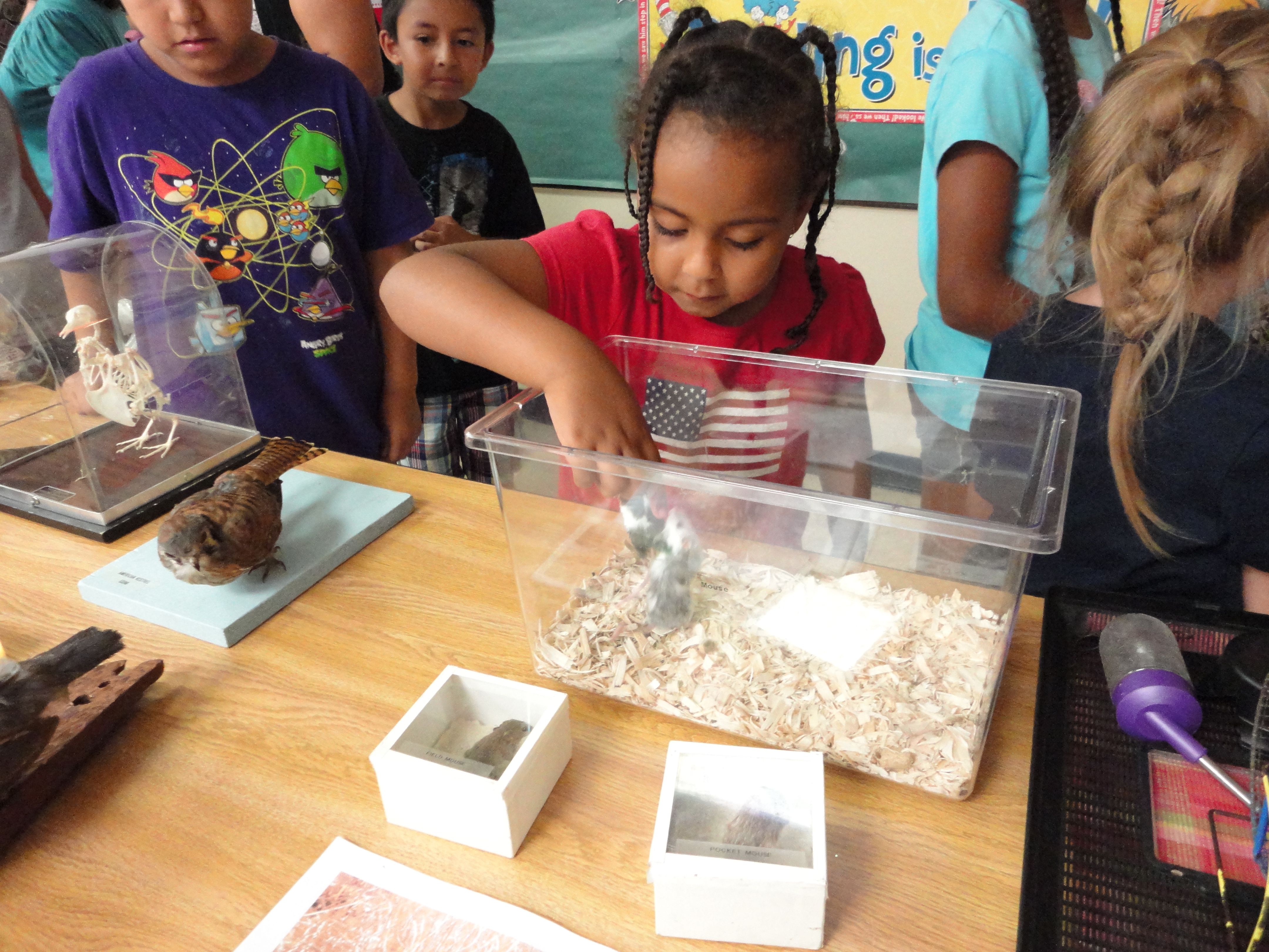 child feeling animal