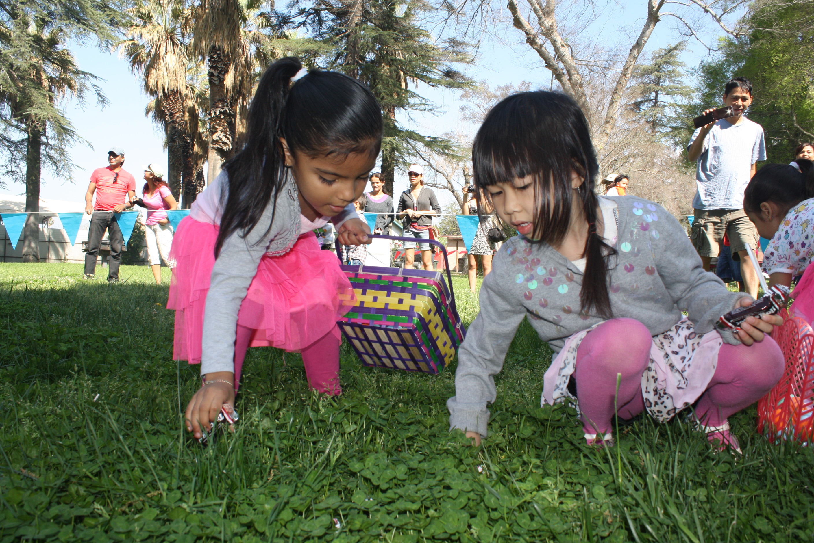 Egg Hunters in action